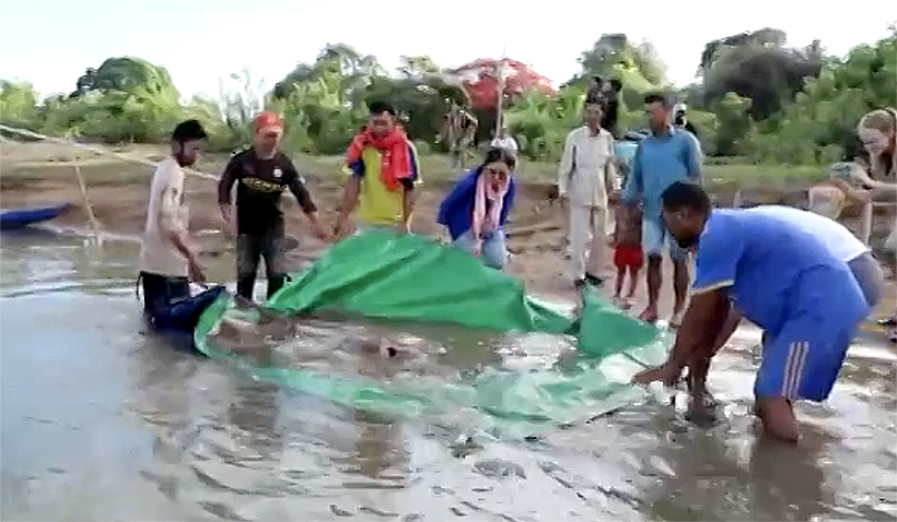 Cambodian fishermen release a monster stingray back into the Mekong River