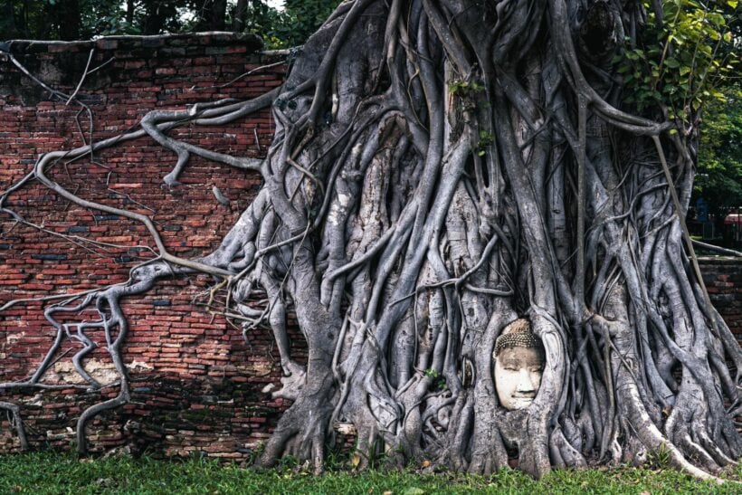 Ayuttaya featured in Forbes’s Top 50 Best Places to Visit Post-Pandemic