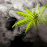 Smoking cannabis recreationally is still illegal, warns Department of Public Health | Thaiger