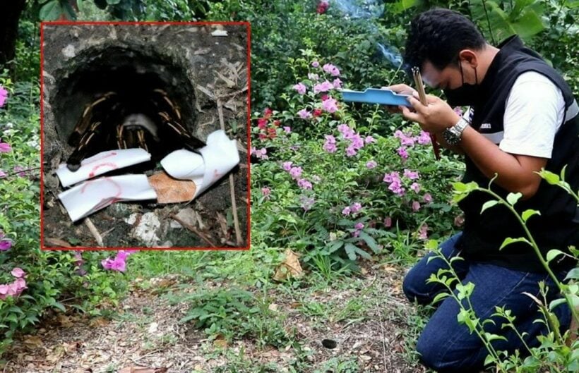 Fortune telling tarantula predicts lottery numbers in central Thailand