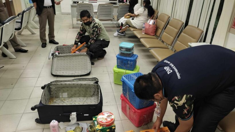 2 Indians caught with over 100 animals at Suvarnabhumi Airport