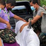 Dolphin washes up on Phang Nga beach, likely from strong waves | Thaiger