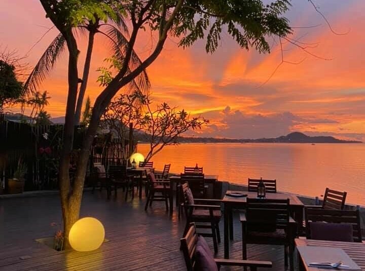 The best cafés in Koh Samui: Where to enjoy coffee, cake, and sweet treats  | Thaiger