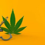 More than 3,000 &#8216;cannabis convicts&#8217; to be released from Thai prison tomorrow | Thaiger