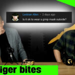 Bars and Bar girls, Legally growing &#038; Gimp masks | Thaiger Bites | Thaiger