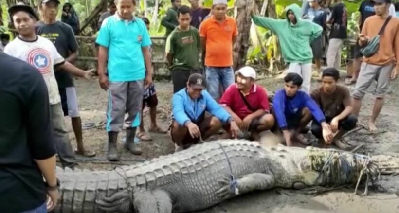 Indonesian villager catches massive crocodile using only a rope