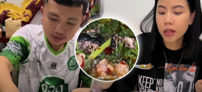 Thai singer eats protected lizard, faces backlash