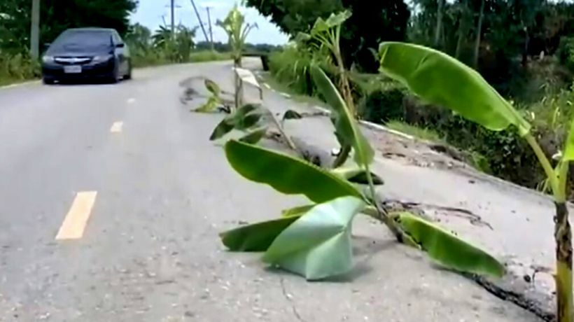 Angry central Thai locals go bananas over poor road conditions