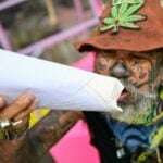 Decriminalisation of cannabis in Thailand: Can I get high or not? | Thaiger
