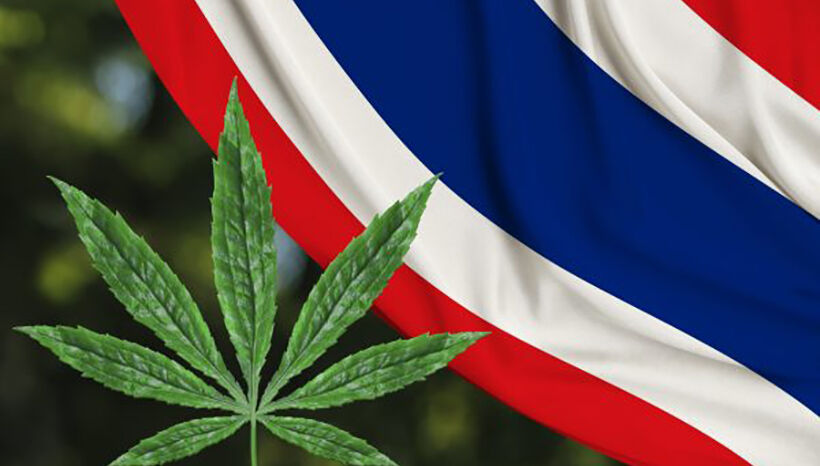 Thailand’s new cannabis laws, yes, but no, but yes…