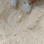 Sea turtle lays 60 eggs at Phang Nga beach | Thaiger