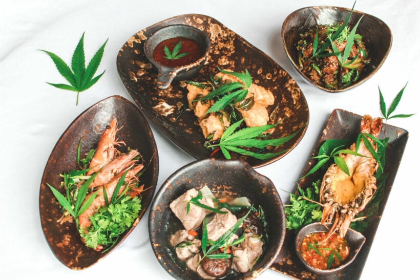 Where To Find Cannabis Infused Food In Thailand |  News by Thaiger