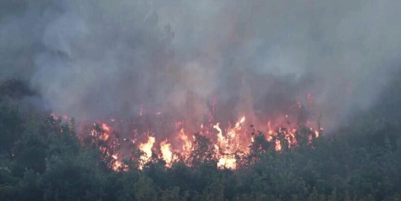 Thousands evacuated as wildfires blaze across Europe