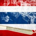 Fun while it lasted: New resolution to ban cannabis cigarettes | Thaiger