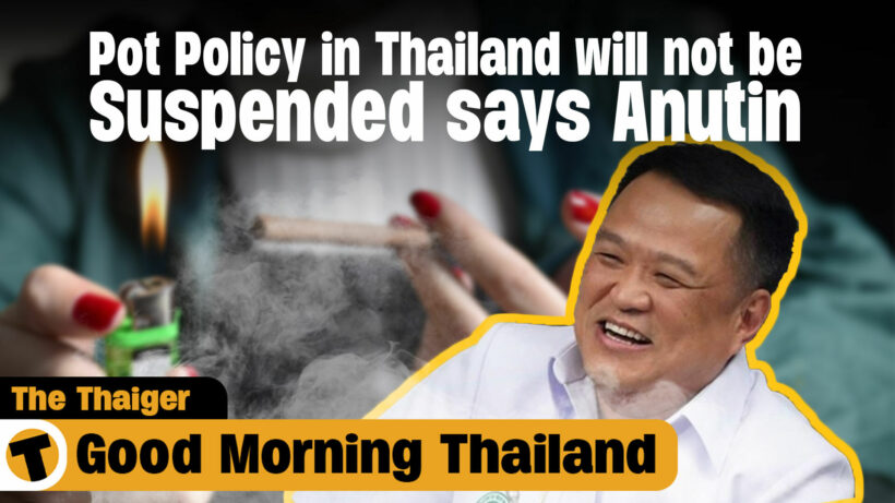 Pot Policy in Thailand will not be Suspended says Anutin! | GMT