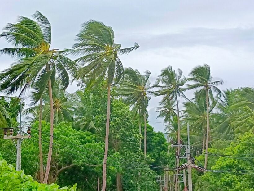 Storms cancel ferry service for Koh Samui, Pha Ngan, and Tao