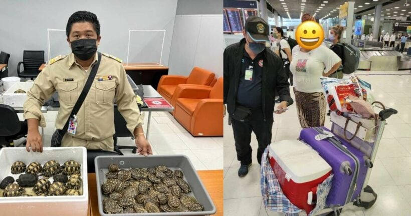 Ukrainian woman caught smuggling 116 live tortoises from Tanzania into Thailand