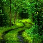 Naked couple found dead in deep grave in Northern Thailand | Thaiger