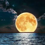 Glass beads covering the moon found to contain water | Thaiger