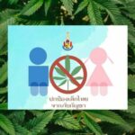 Leading academics &#038; doctors in Thailand demand govt to pause cannabis bill | Thaiger