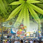 Opposition builds to the magic of Khaosan 420 on World Cannabis Day | Thaiger