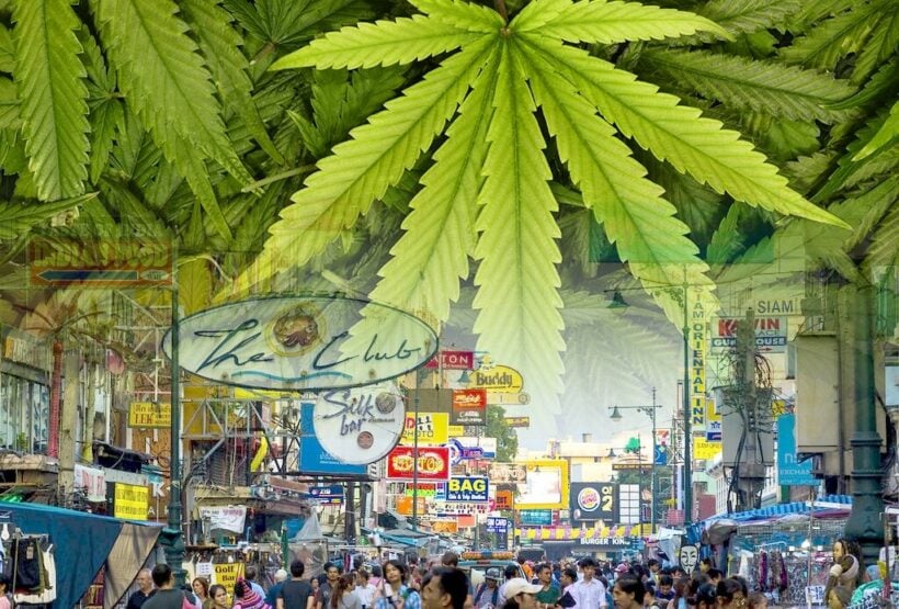 Opposition builds to the magic of Khaosan 420 on World Cannabis Day