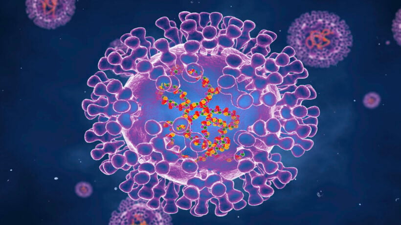Monsoon season linked to rise in fungal skin infections and eczema across Thailand and Southeast Asia | News by Thaiger
