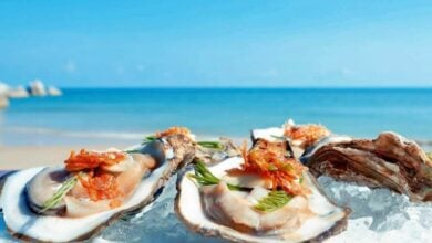 5 Must try beachfront restaurants in Koh Samui