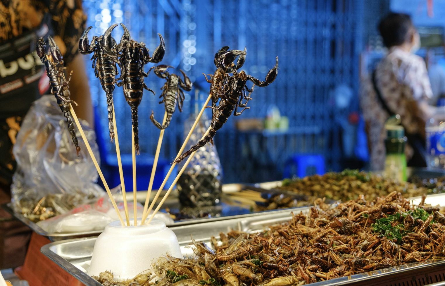 Are you brave enough to try these weird Thai food?