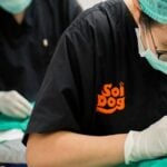 Soi Dog Foundation pledges to neuter 1 million animals in 2 years | Thaiger