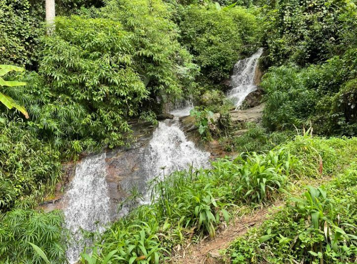 E. coli contamination found at popular waterfall in Chiang Mai, northern Thailand