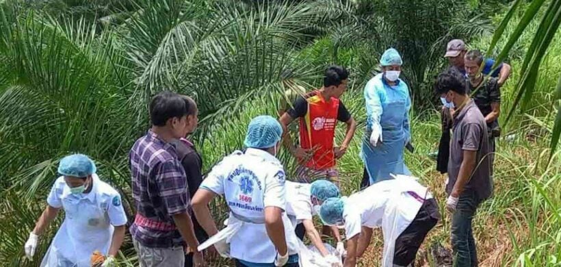 Elephant rips mahout’s body in half in southern Thailand