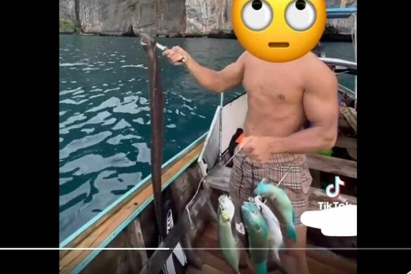 Foreigner faces prison for Parrotfishing in Thailand