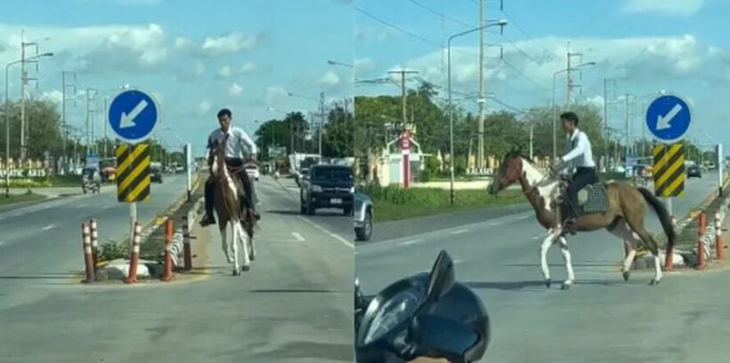 VIDEO: ‘Kalasin Cowboy’ rides horse to college in NE Thailand