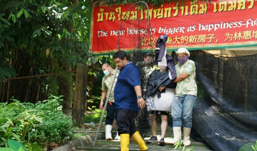 ostrich escape drill