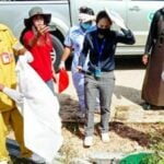 Man trampled to death by wild elephants in Hua Hin, Thailand | Thaiger