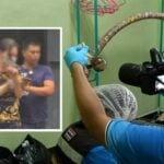 Transgender stabs boyfriend to death after he hit her with a ganja bong | Thaiger