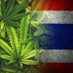 Cannabis flower bud now a controlled substance with restrictions | Thaiger
