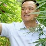 New moves to criminalise cannabis shrugged off by Anutin | Thaiger