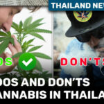 Thailand News Today | Thai cannabis regulations &#8211; What you can and can’t do | Thaiger