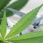 Can I take cannabis on domestic flights in Thailand? | Thaiger