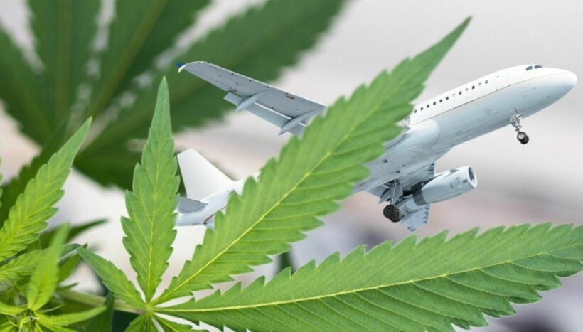 Can I take cannabis on domestic flights in Thailand?