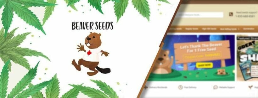 10 Best Seed Banks that Ship Cannabis Seeds Discreetly to You (Free US Shipping) | News by Thaiger