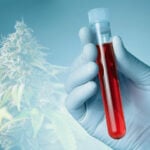 Can I donate blood in Thailand if I smoke cannabis? | Thaiger