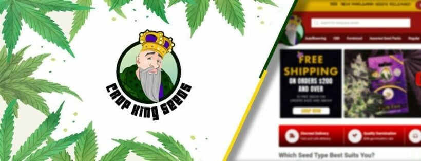 10 Best Seed Banks that Ship Cannabis Seeds Discreetly to You (Free US Shipping) | News by Thaiger