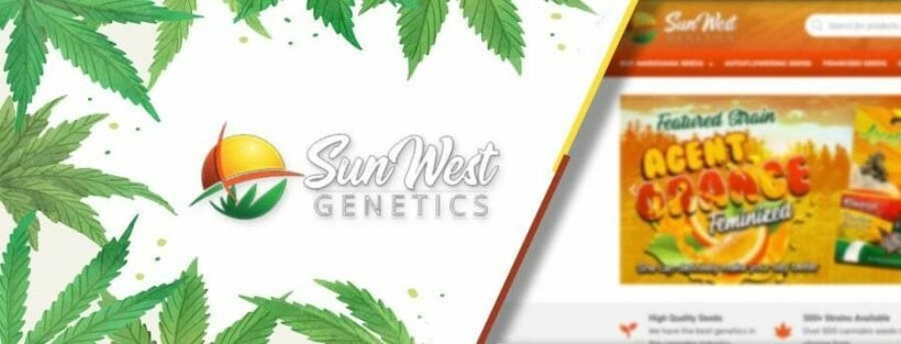 10 Best Seed Banks that Ship Cannabis Seeds Discreetly to You (Free US Shipping) | News by Thaiger