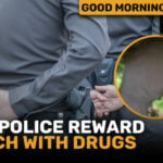 Police in Thailand Reward Snitch with Drugs | GMT | Thaiger