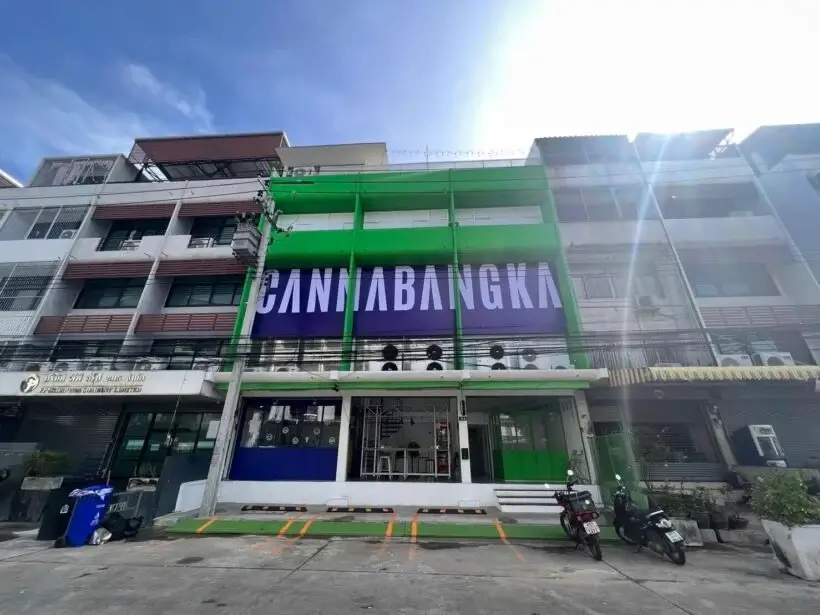 Where to buy cheap cannabis in Bangkok | News by Thaiger
