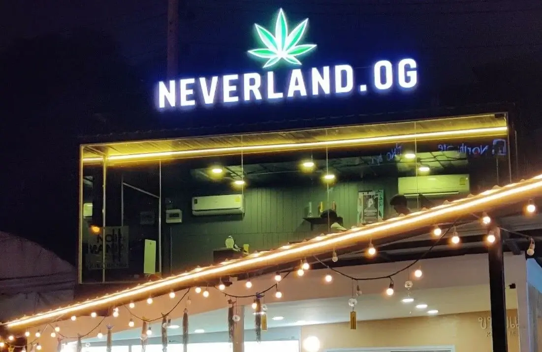 Where to buy cheap cannabis in Bangkok | News by Thaiger