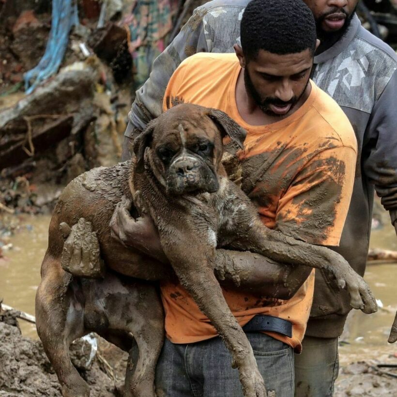 In it together - Floods around the world | News by Thaiger